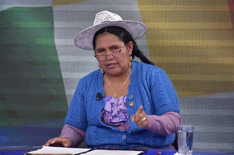 Gobierno Presentar Queja Formal Por Prohibir Bandas Bolivianas En Puno