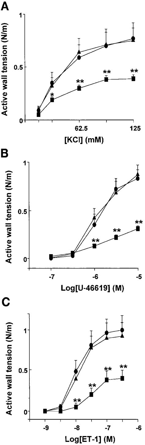 Concentration Dependent Contractile Effects Of Kcl A U 46619 B