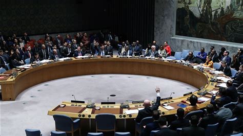 El Consejo De Seguridad De La Onu Eligió A Cinco Nuevos Miembros No