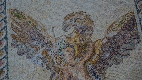 Musée Archéologique De La Chypre Paphos D ailes D oiseau D aigle De