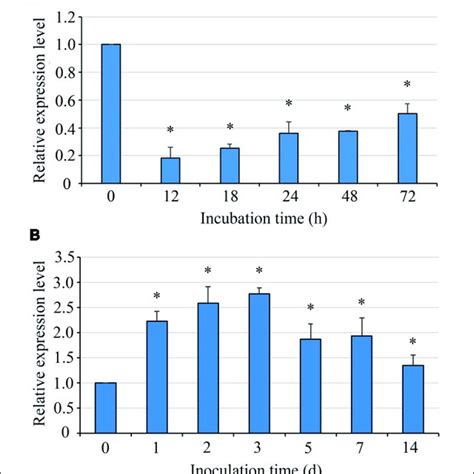 The Mrna Level Of Uvsun In The Wild Type Strain P During Conidia