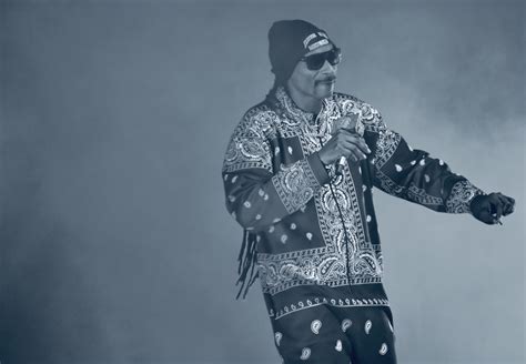 Concert Photos: Snoop Dogg at Family Arena - Review St. Louis