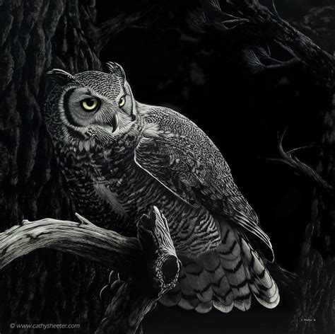 Hyperrealism Drawing Animals