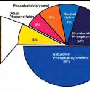 Composition of Surfactant | Download Scientific Diagram