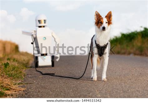 138 Robot Dog His Images, Stock Photos & Vectors | Shutterstock