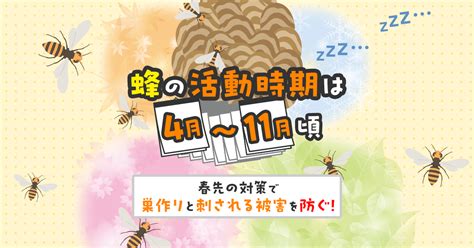 スズメバチの活動時間は朝から日没！蜂が活発な時間帯を知れば怖くない ハチ110番