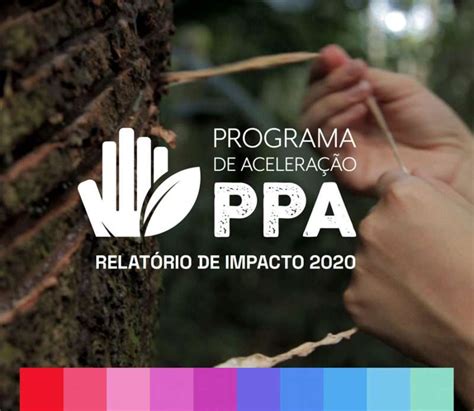 Relatório De Impacto 2020 Do Programa De Aceleração Da Ppa Amaz