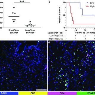 Comparison Of Overall Survival Os Of Crt Treated Patients Using Cd