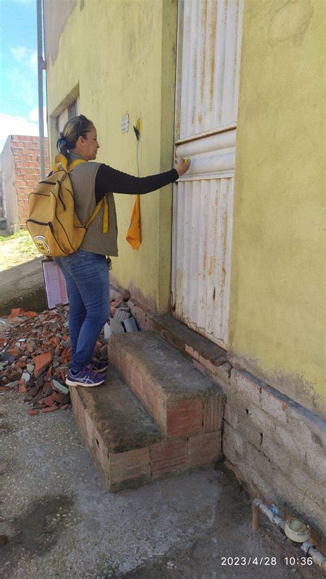 Combate À Dengue Chikungunya E Zika A ImportÂncia Da PrevenÇÃo ContÍnua