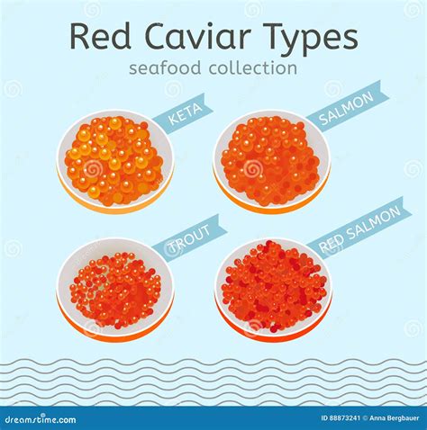 Red Caviar Types Vector Illustration | CartoonDealer.com #89301608