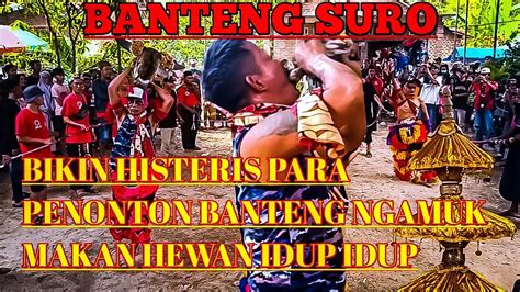 BANTENG SURO FULL GAYENG POKO E JARAN AN DHARMO JOYO PUTRO ORIGINAL