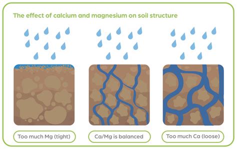 Improve Your Soils Water Holding Capacity Over Summer Golden Bay