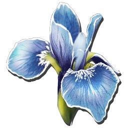 Rare Flower Ark | Best Flower Site