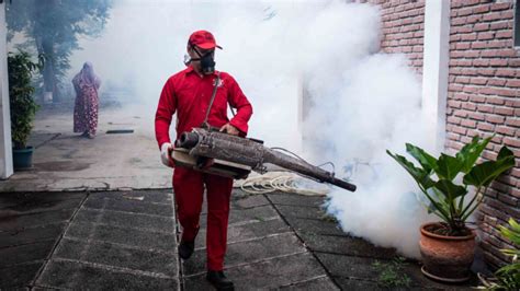 Fogging Tidak Efektif Berantas Nyamuk Demam Berdarah