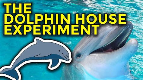 Timesuck The Dolphin Point Experiment Lsd Aliens Nasa And Dolphin Sex Youtube