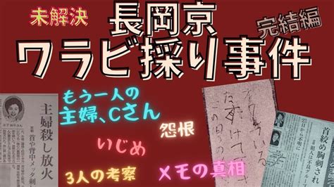 【長岡京ワラビ採り事件】【未解決】【完結編】〜三人目の被害者主婦cさんと3人の考察〜 Youtube