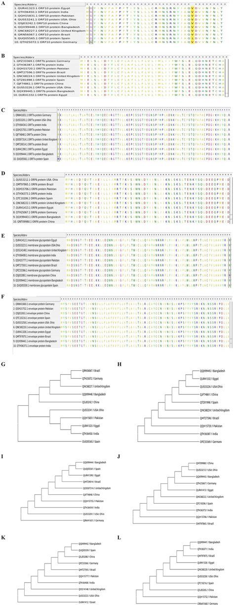 Multiple Sequence Alignment And Phylogenetic Analysis Of Different