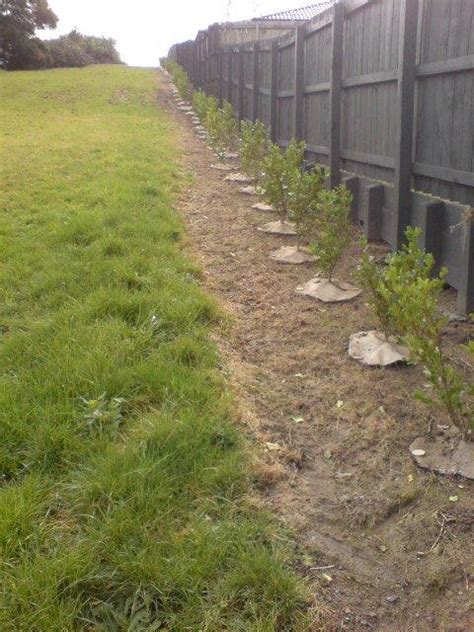 Photo Gallery - EcoCover Holdings Limited