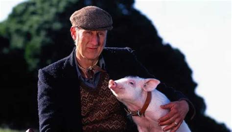 The Actor Of The Film Babe A Vegan Saves A Piglet And Names It After The One In The Feature