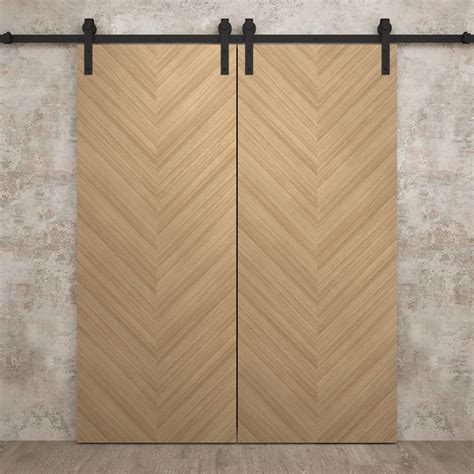 SARTODOORS Modern Double Barn Door Ego 5005 Track Set Solid Panel