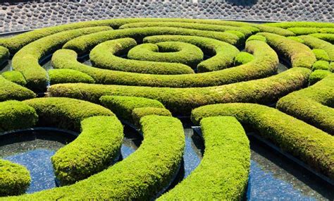 24 Garden Maze Design Ideas You Should Check | SharonSable