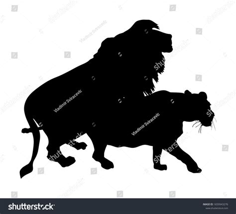 Sex Lion Vector Silhouette Illustration Isolated Stock Vector Royalty