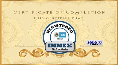 Immex Certification Solo World Partners