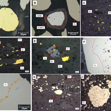 Representative Transmitted Light Photomicrographs Of Meta Conglomerates