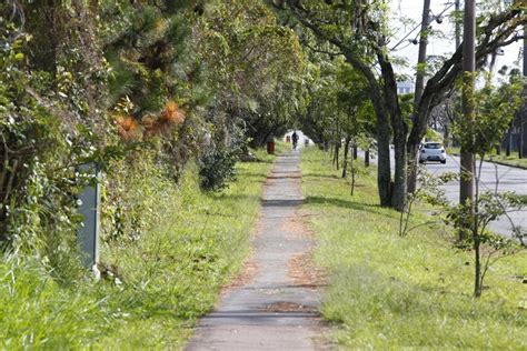 Curitiba Ciclovias Ter O Refor O Na Ilumina O