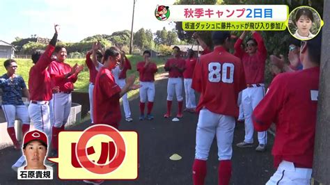 広島カープ 日南秋季キャンプ 2日目 “スーパー早出” 特訓の中村健人 坂道ダッシュに藤井ヘッドが飛び入り参加 Tbs News Dig