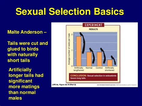 Sexual Selection