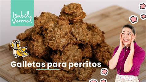 Galletas Para Perritos Youtube