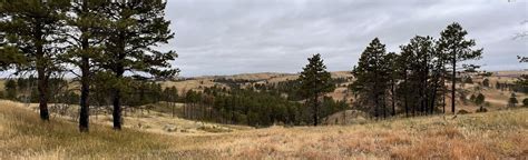 Custer State Park Wildlife Scenic Byway Reviews Map South