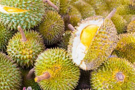 Here Are The Top Tips On How To Pick The Best Durian According To A