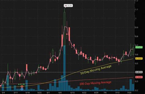 Penny Stocks On Robinhood Growing In Popularity In July 2020