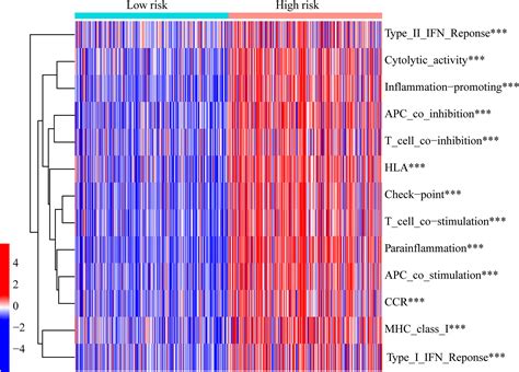 Identification Of Cuproptosis‐related Lncrnas For Prognosis And