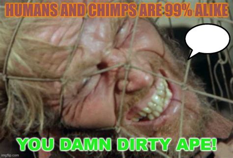 HUMANS AND CHIMPS ARE 99 ALIKE You Damn Dirty Ape Imgflip