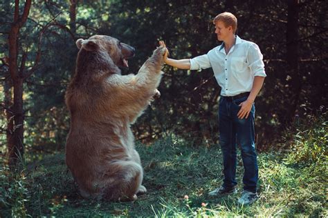 Orso E Uomo Amici O Nemici Focus It