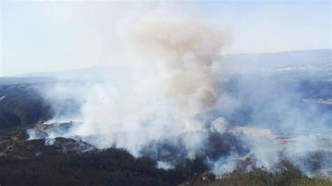 Incendio forestal Senapred ordena evacuación del sector Paso Hondo en