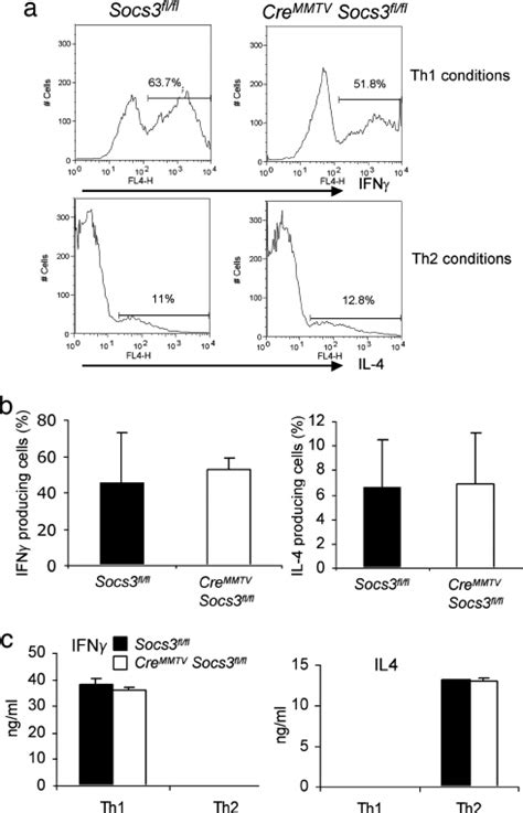 Socs Is Not Essential For T Cell Development Loss Of Socs Mrna