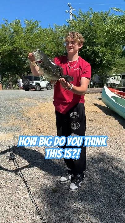 Huge Largemouth Bass Caught In Clear Lake Ca Youtube