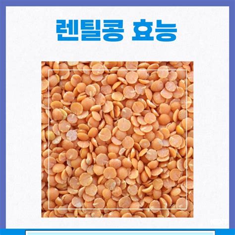 렌틸콩 효능 칼로리 부작용 네이버 블로그