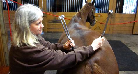 Tuning Forks for Vibration Therapy – Matrix Therapy Products