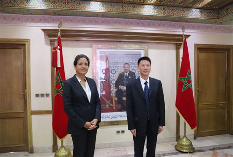 Madame Leila Benali Re Oit M Li Jinfa Vice Ministre Chinois Des