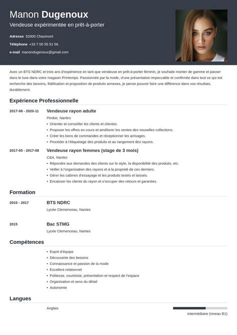 Exemples De Cv Pdf Et Comment Mettre Un Cv En Pdf Artofit