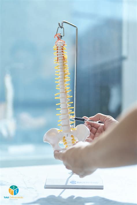 Spine Total Orthopaedic Care And Surgery