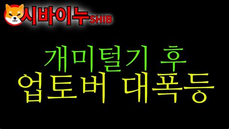 🔵시바이누🔵개미털기 이후 업토버 대폭등 코인시세 비트코인하는법 가상화폐 비트코인 비트코인시세 이더리움시세 리플시세