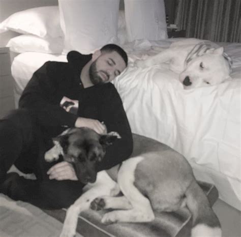 Drake with his two dogs Diamond & Winter!! Adorable! #Drake #Dogs | Drake album cover, Aubrey ...