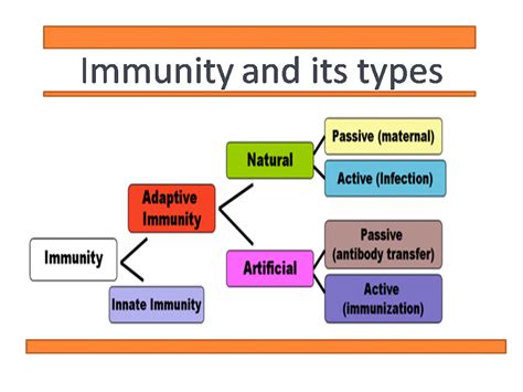 Immunity And Its Types Innate And Acquired Immunity Online Biology Notes