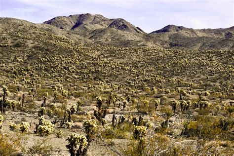 California Desert Free Stock Photo Public Domain Pictures